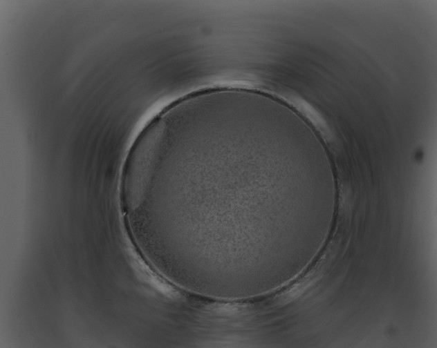 X0000093471240200710191138