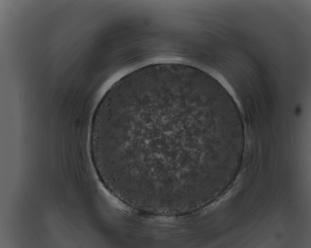 X0000093471245200710191138