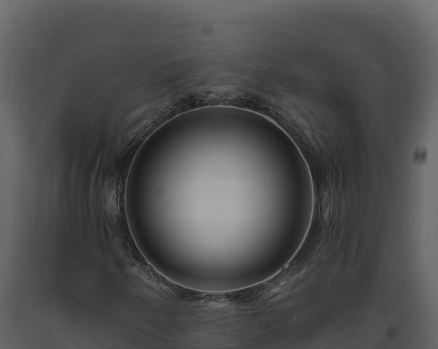 X0000093471250200710191138