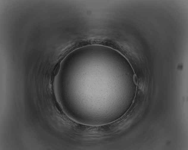 X0000093471252200710191137