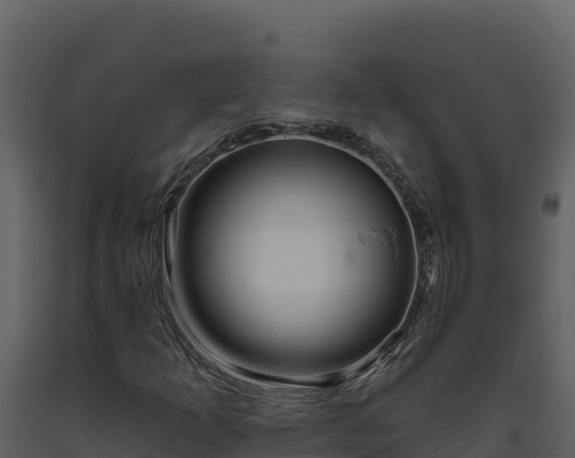 X0000093471253200710191137