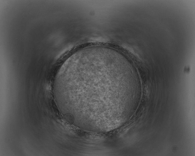 X0000093471254200710191137