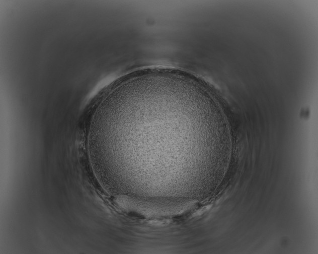 X0000093471255200710191137