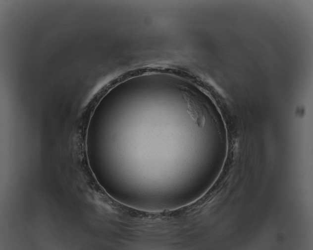 X0000093471256200710191137