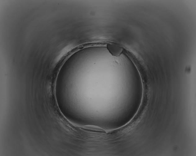 X0000093471259200710191137