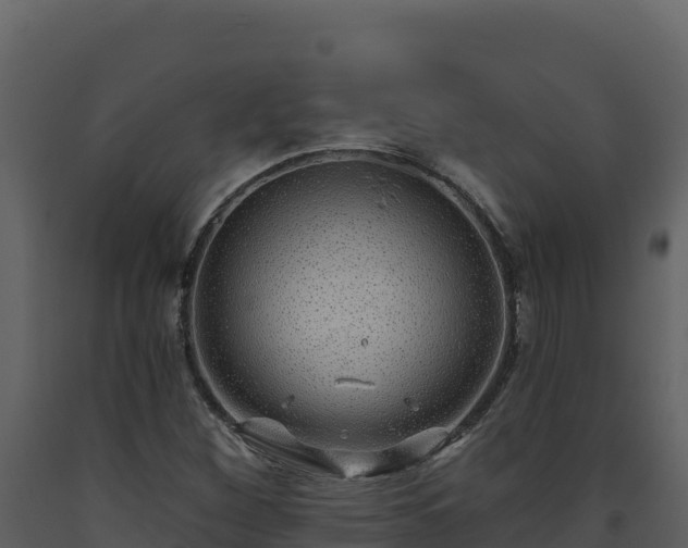 X0000093471260200710191137