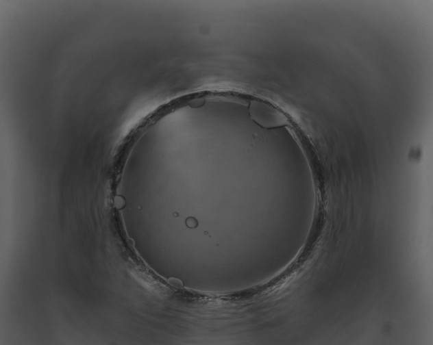 X0000093471263200710191137