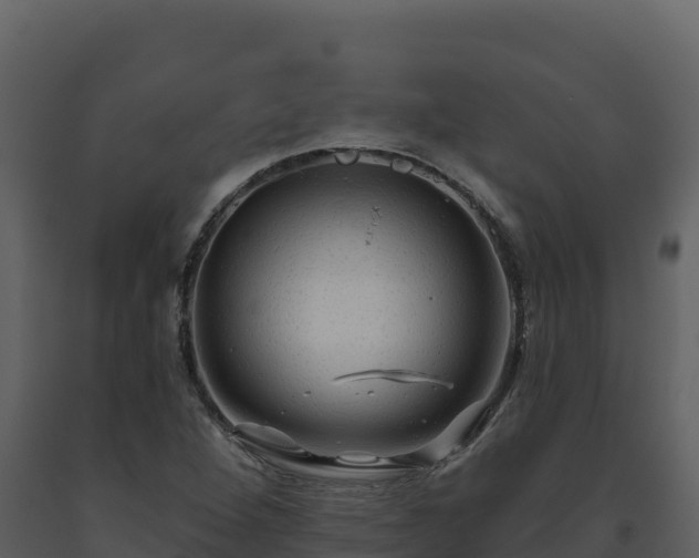 X0000093471264200710191137