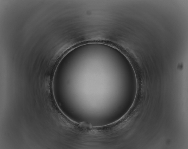 X0000093471265200710191137