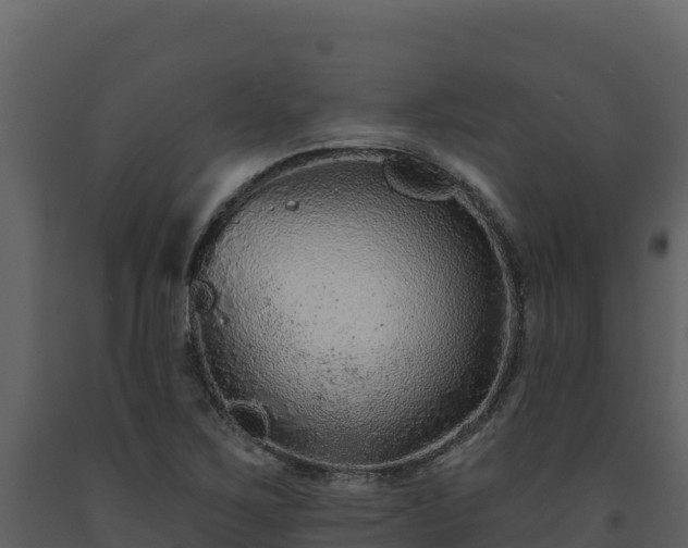 X0000093471267200710191137