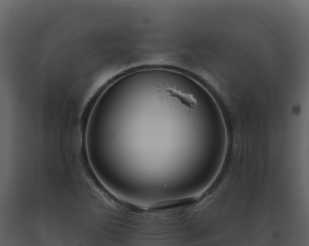 X0000093471270200710191137