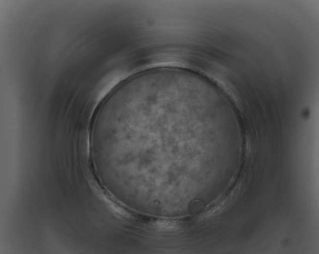 X0000093471274200710191137