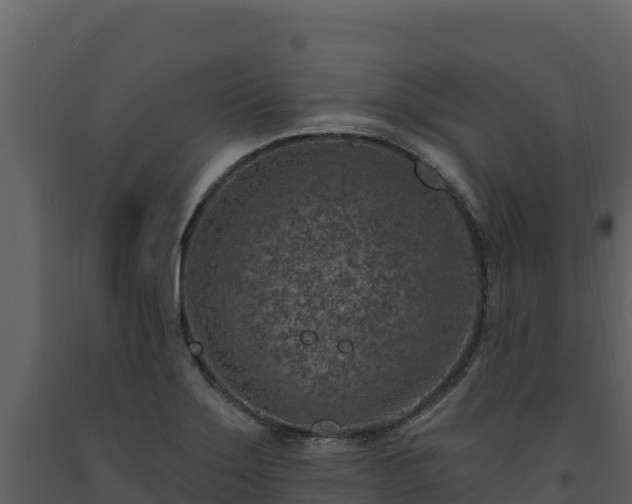 X0000093471275200710191137