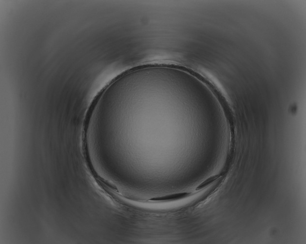 X0000093471277200710191137