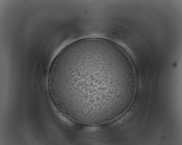 X0000093471278200710191137