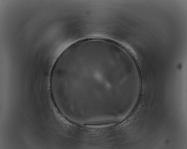 X0000093471279200710191137