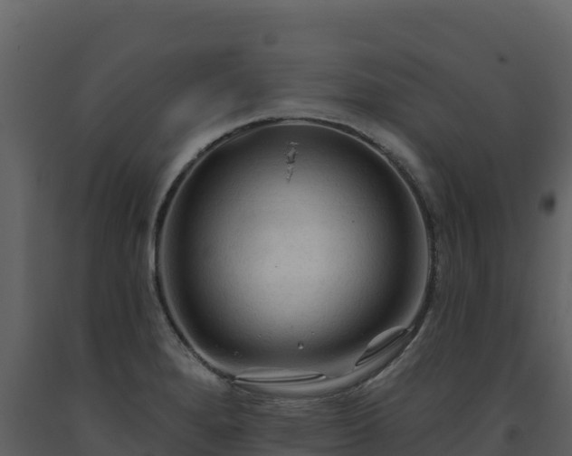 X0000093471280200710191137