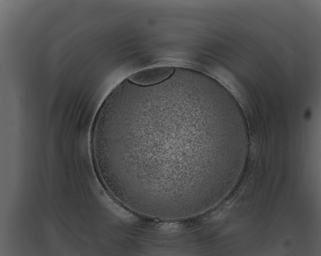 X0000093471283200710191137