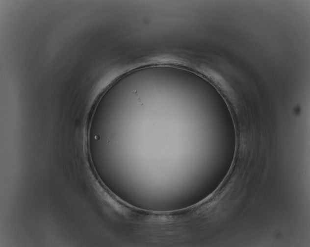 X0000093471286200710191137