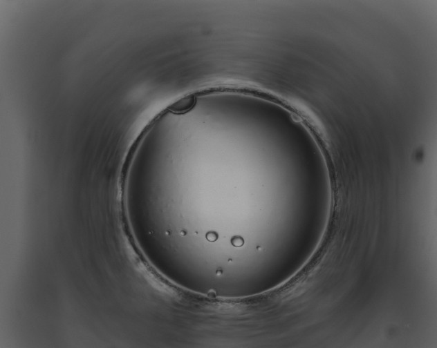 X0000093471287200710191137