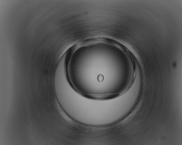 X0000093471289200710191137