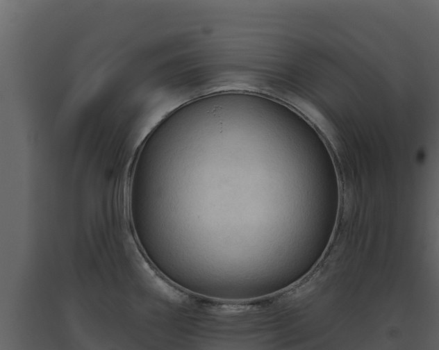 X0000093471290200710191137