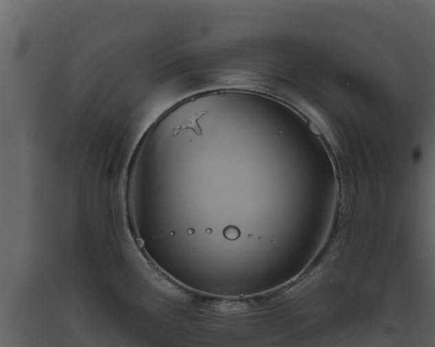 X0000093471291200710191137