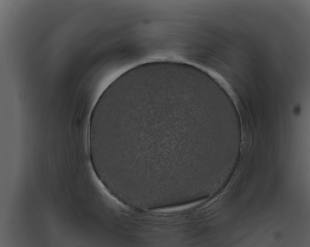 X0000093471295200710191137