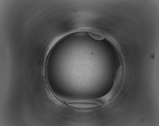 X0000093471296200710191137