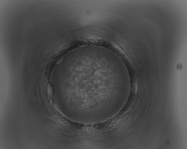 X0000093471297200710191136