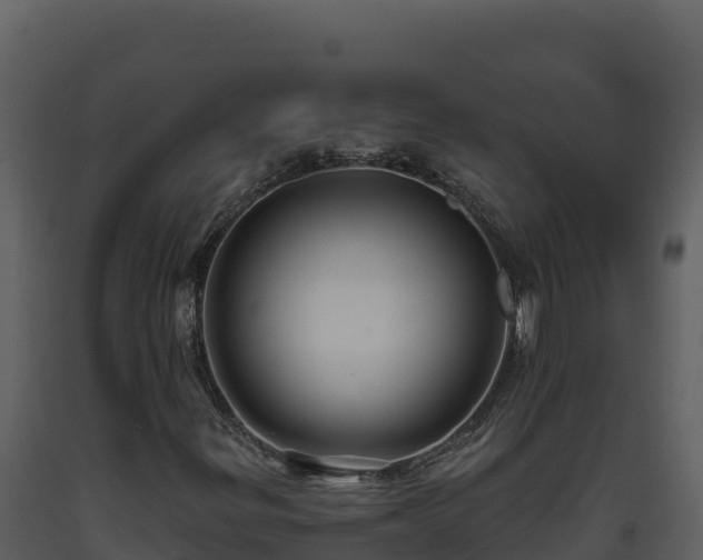 X0000093471299200710191136