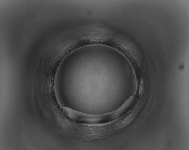 X0000093471300200710191136