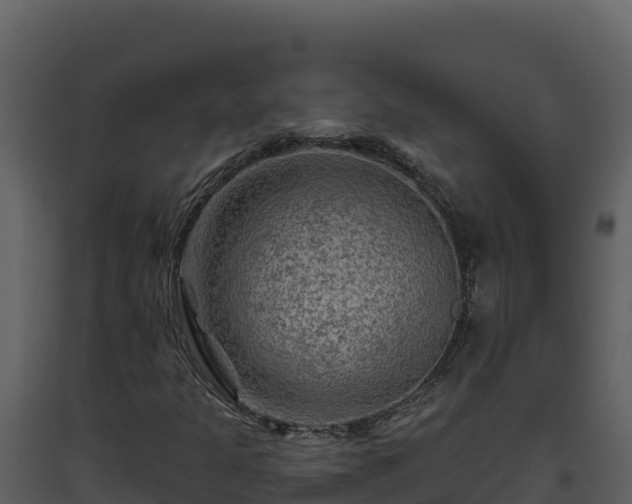 X0000093471301200710191136