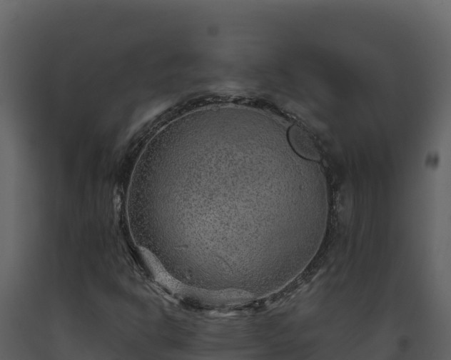 X0000093471302200710191136