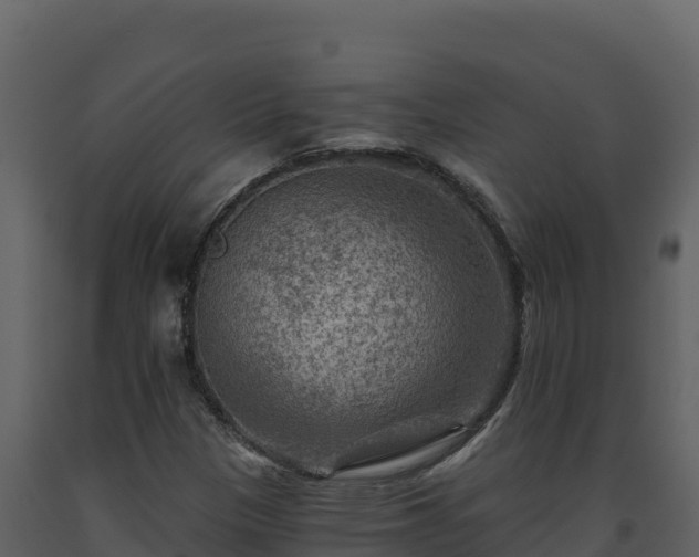 X0000093471305200710191136