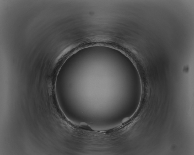 X0000093471306200710191136