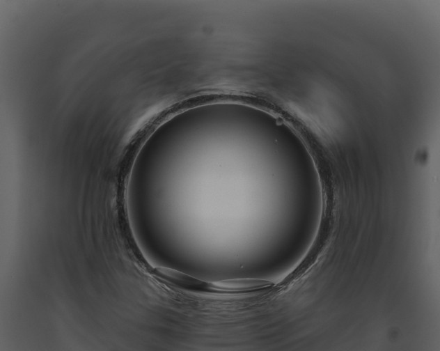 X0000093471307200710191136