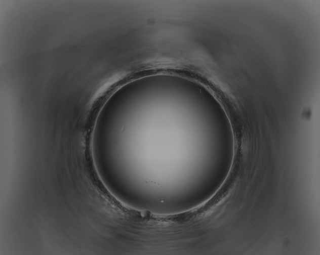 X0000093471309200710191136