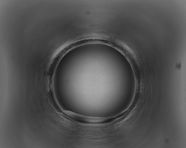 X0000093471310200710191136