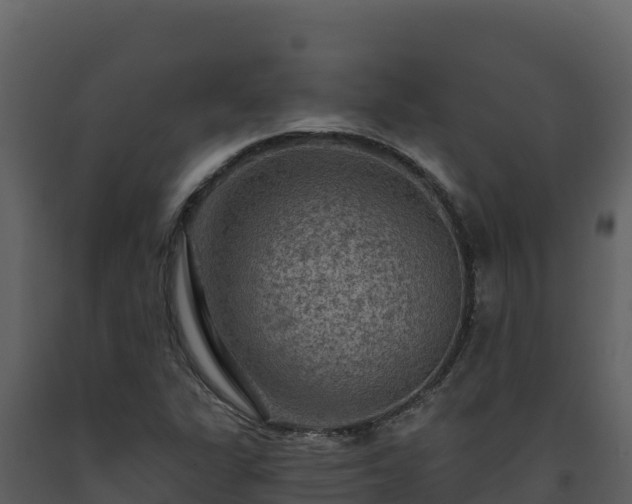 X0000093471311200710191136