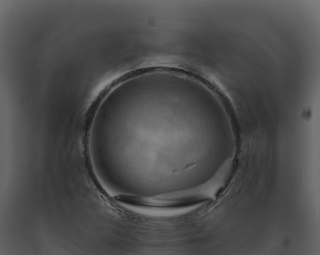 X0000093471312200710191136