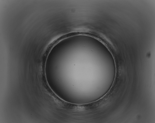 X0000093471315200710191136