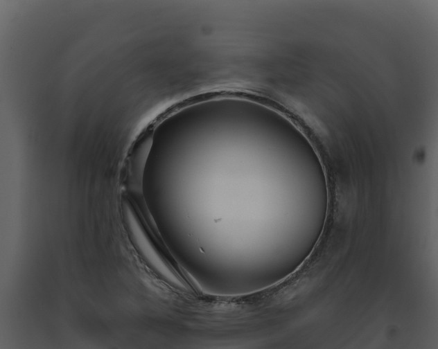 X0000093471316200710191136