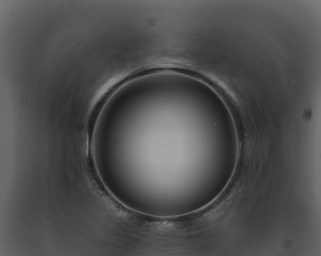 X0000093471317200710191136