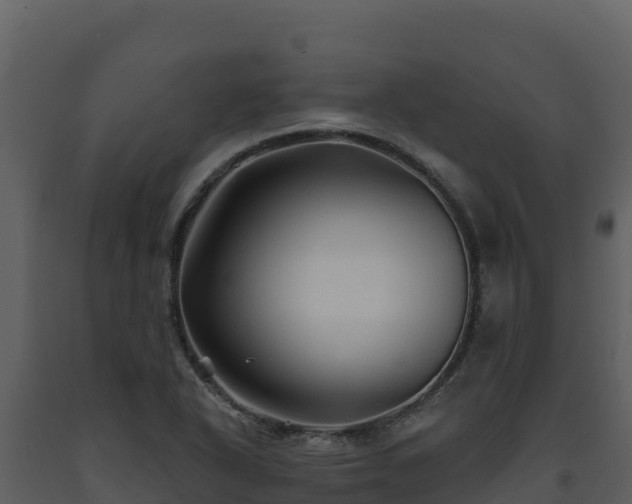 X0000093471318200710191136