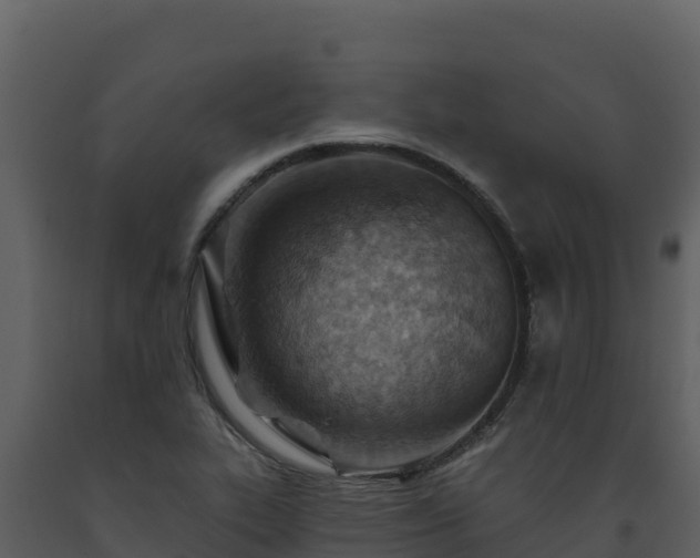 X0000093471319200710191136