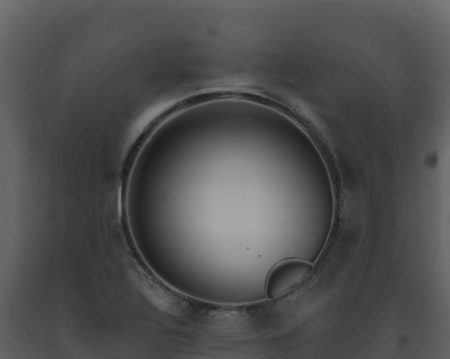 X0000093471320200710191136