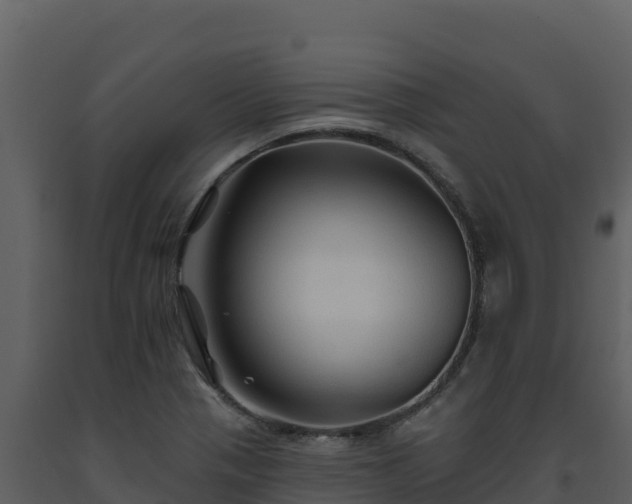 X0000093471321200710191136