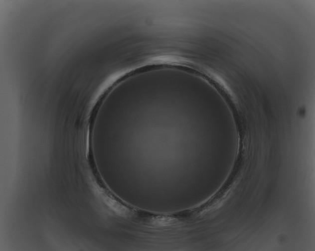 X0000093471323200710191136