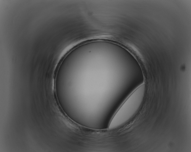 X0000093471324200710191136